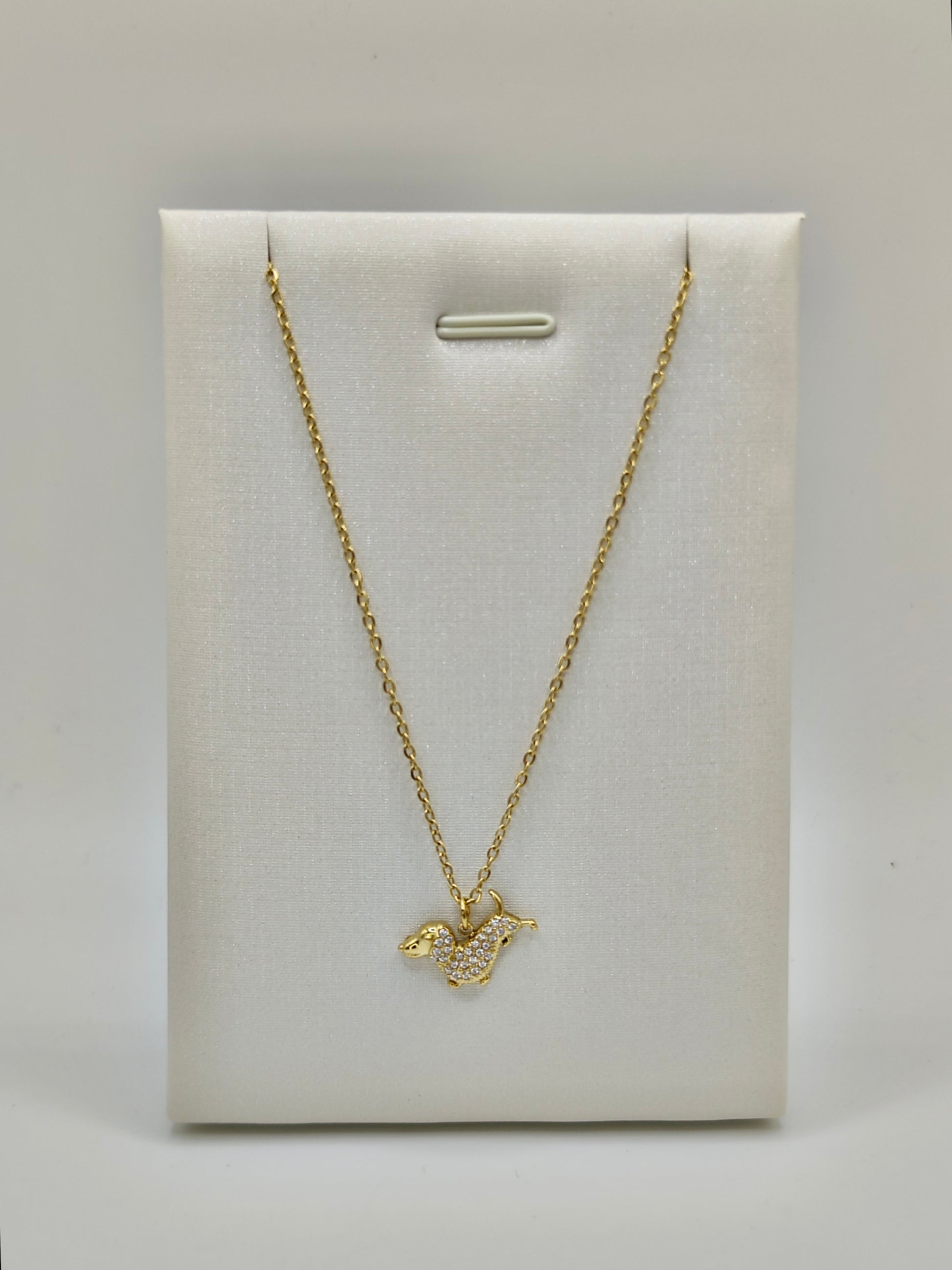 Collar Teckel Brillo