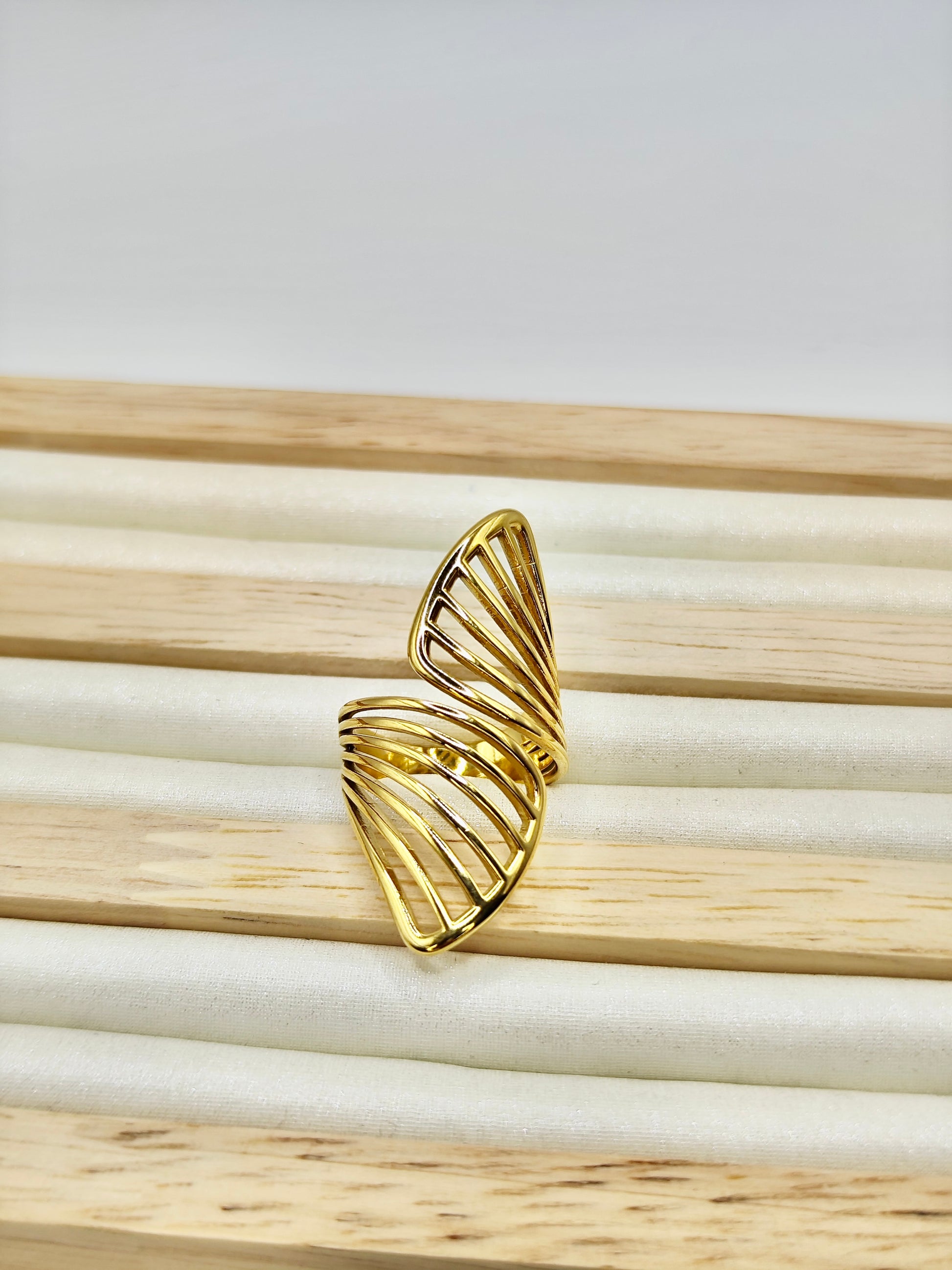 Anillo Concha