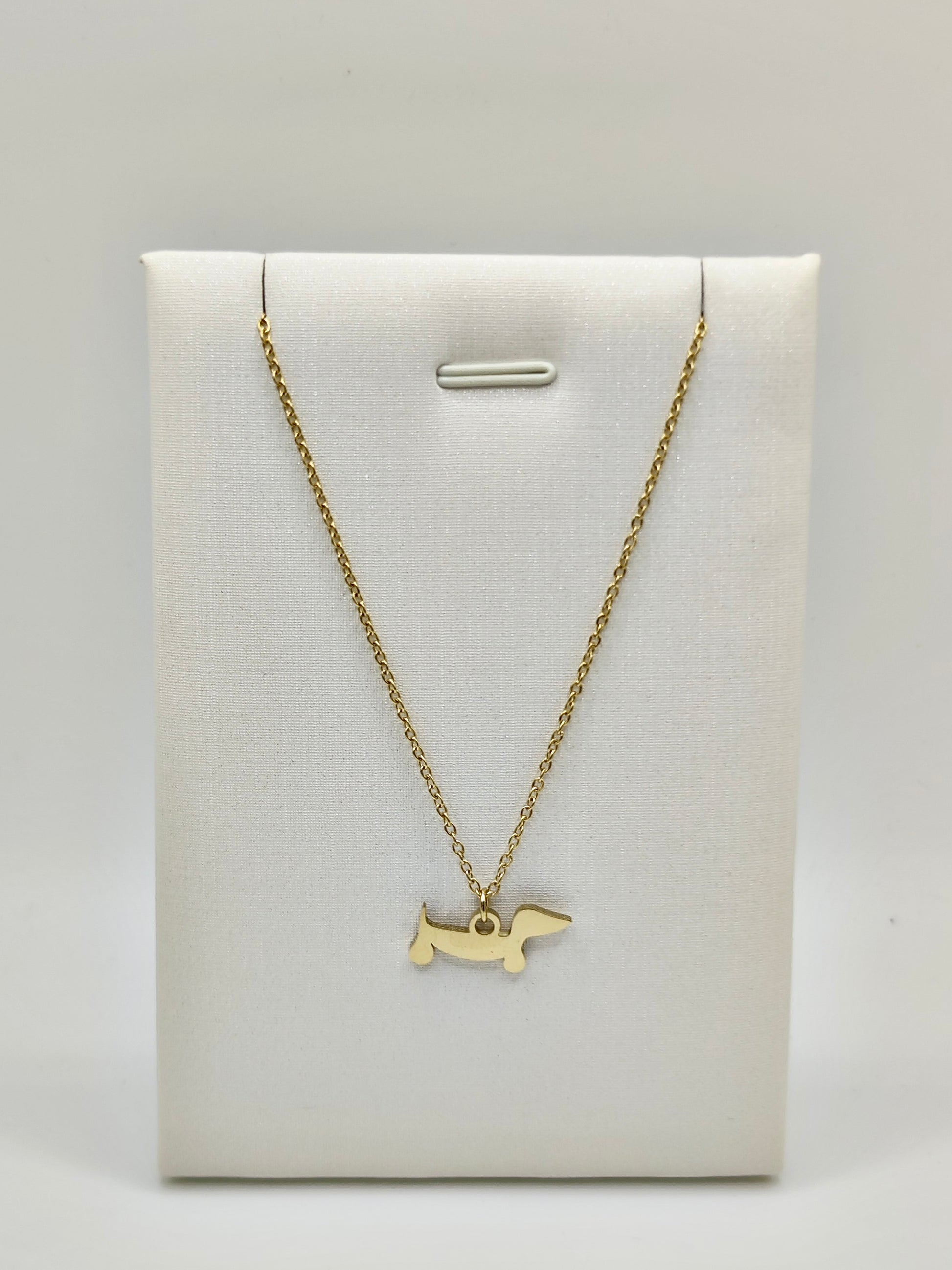 Collar Teckel