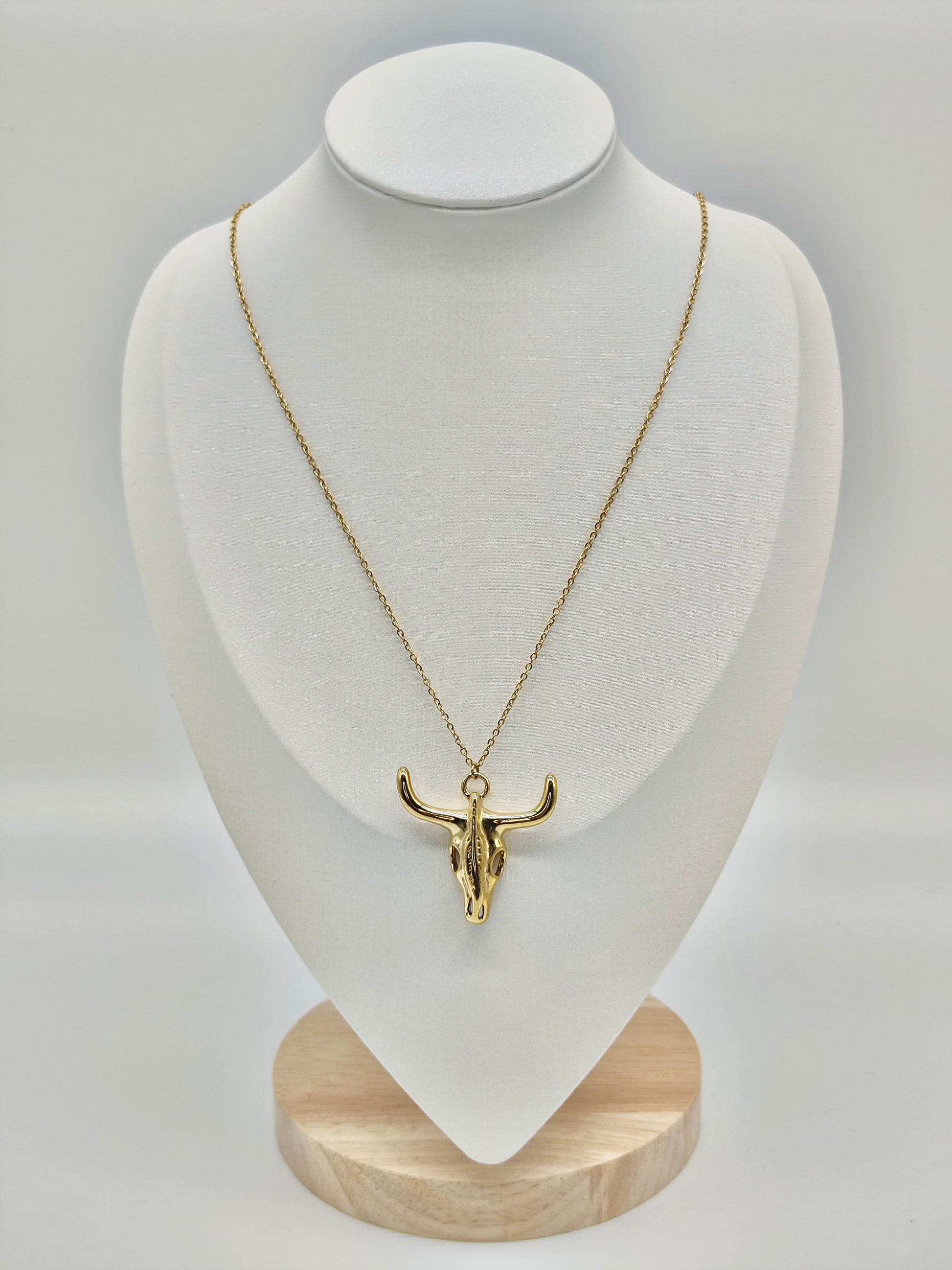 Collar Dakota