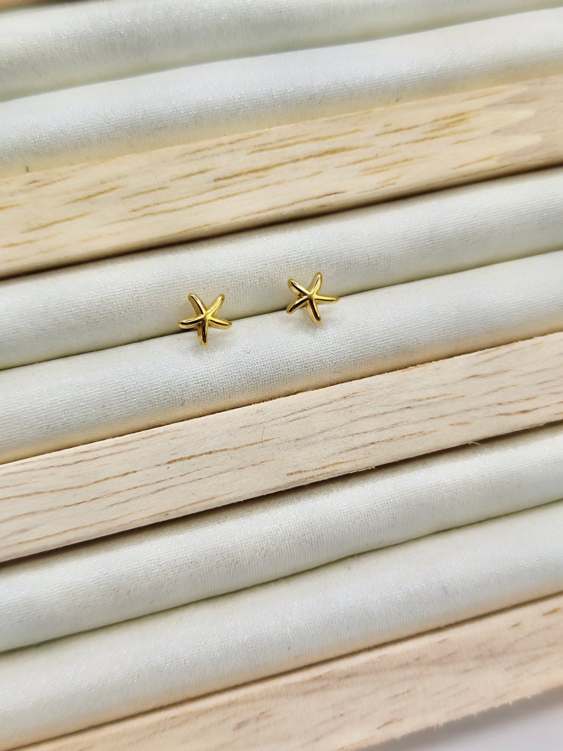 Pendientes Estrella en Acero Inoxidable
