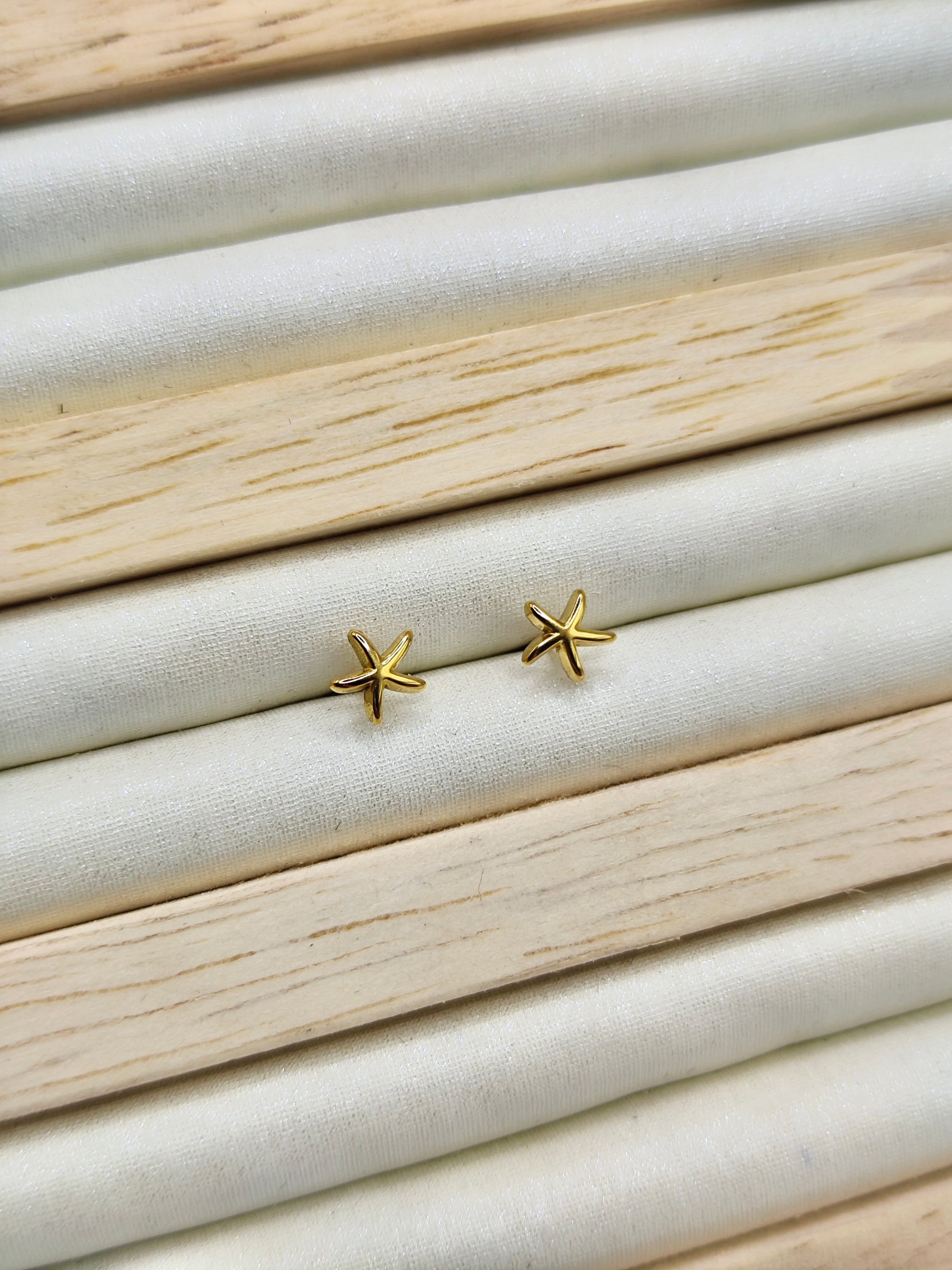 Pendientes Estrella en Acero Inoxidable