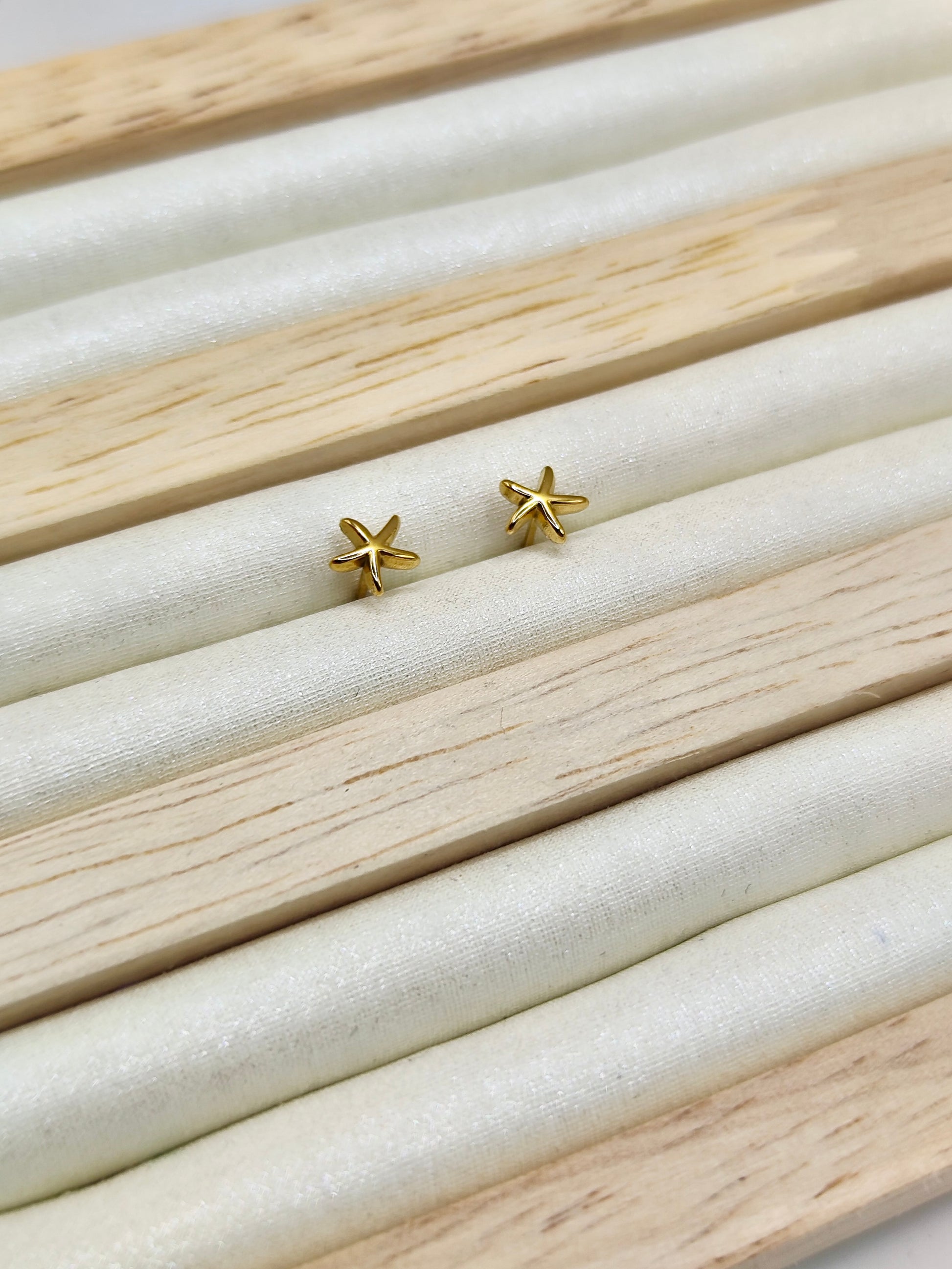 Pendientes Estrella en Acero Inoxidable